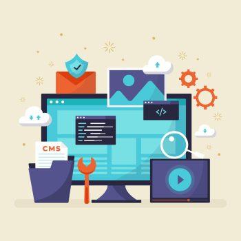 web-development​-services